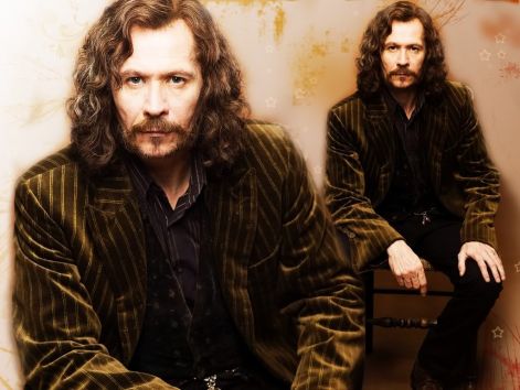 2sb-sirius-black-24729900-1024-768.jpg