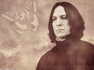 harry-potter-044.jpg